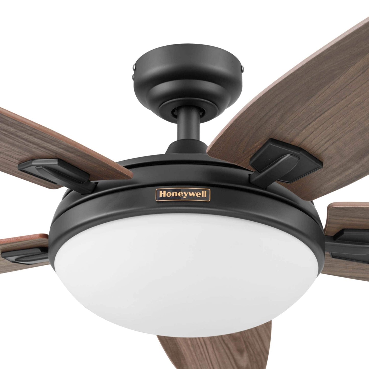 48 Honeywell Carmel Ceiling Fan with Integrated Light and Remote