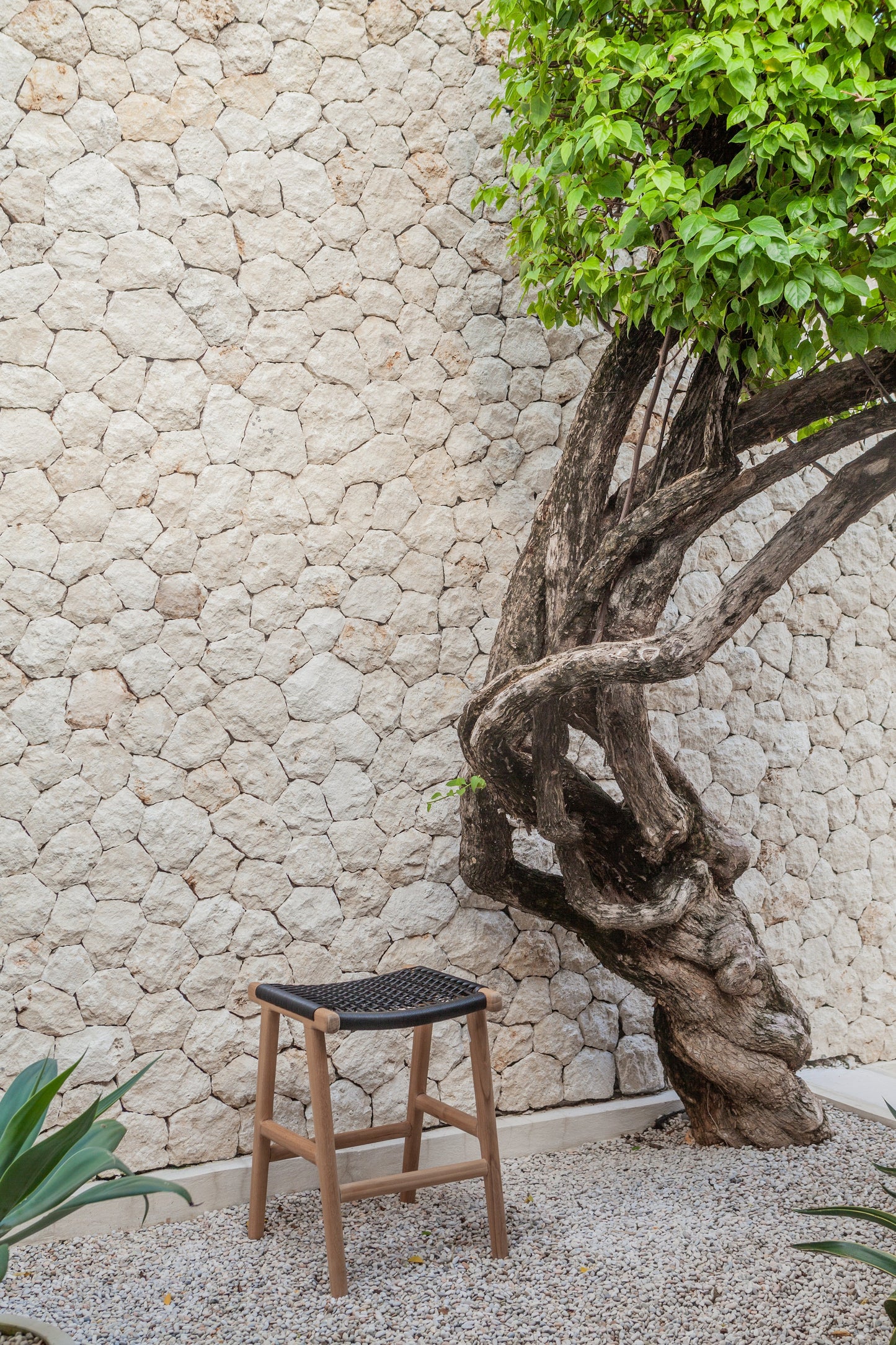 Lara Indoor Outdoor Backless Teak Counter Stool