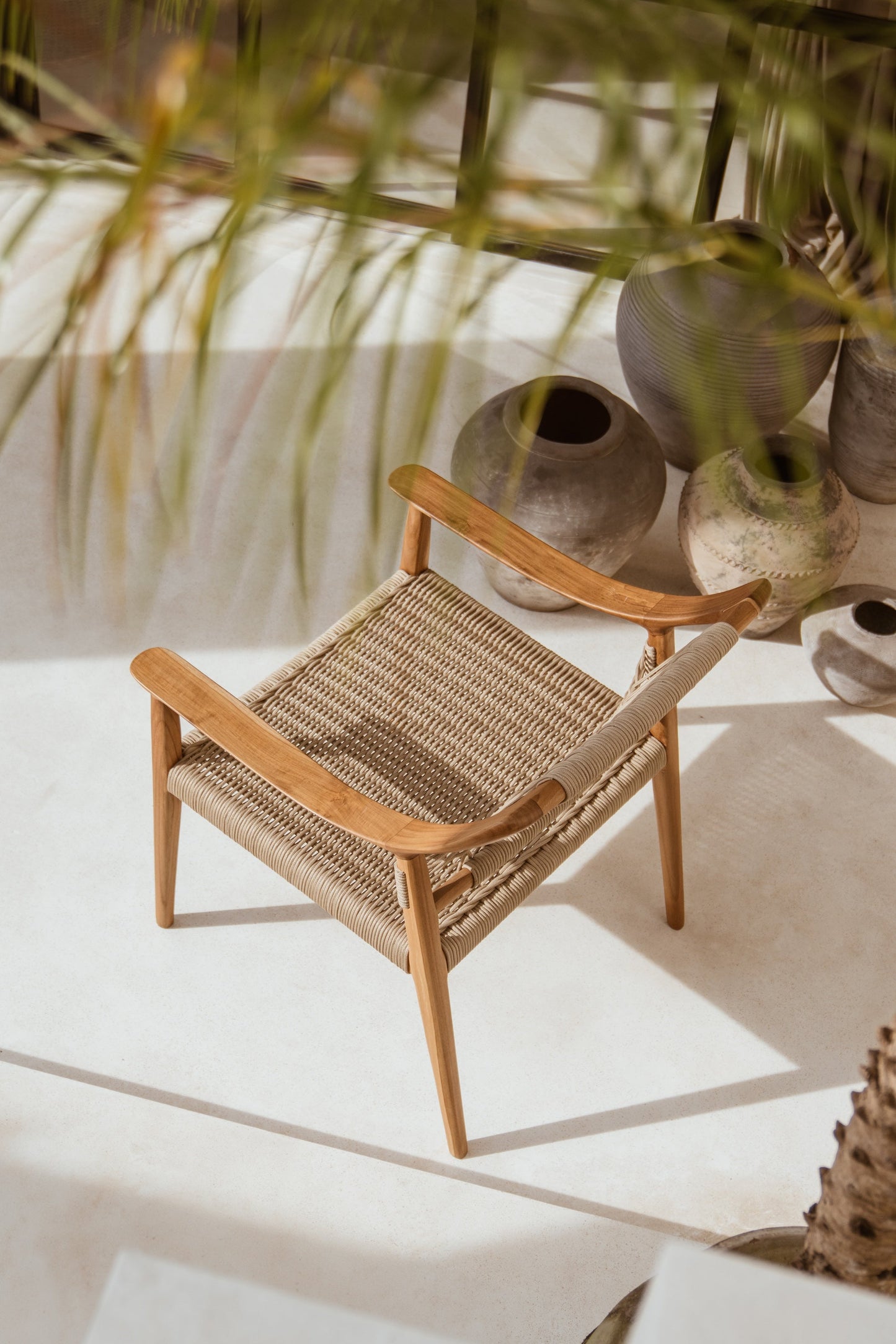 Talia Teak and Rope Lounge Chair