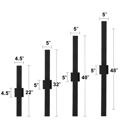 C Cattleya 2-Light Matte Black Aluminum LED Outdoor Wall Sconce