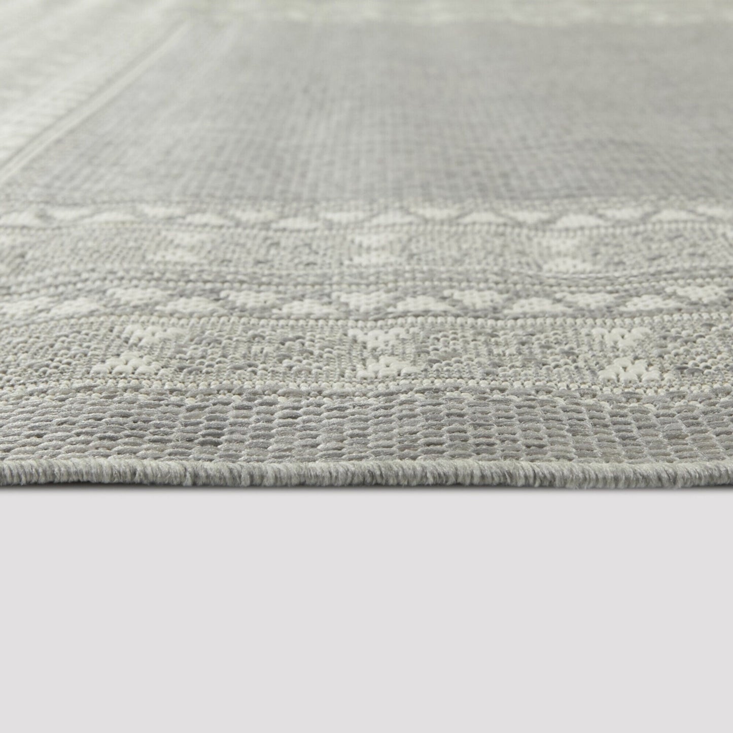 Carew Transitional Border Indoor/Outdoor Area Rug