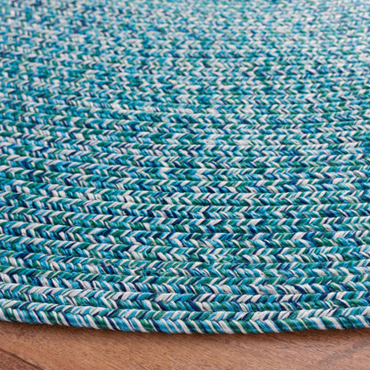 SAFAVIEH Handmade Braided Anthi Casual Rug