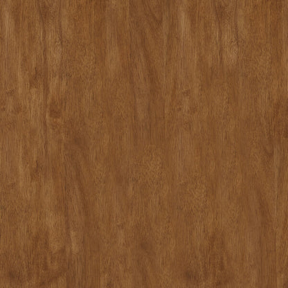 Salvador II Counter Backless Stools (Set of 2) by iNSPIRE Q Classic