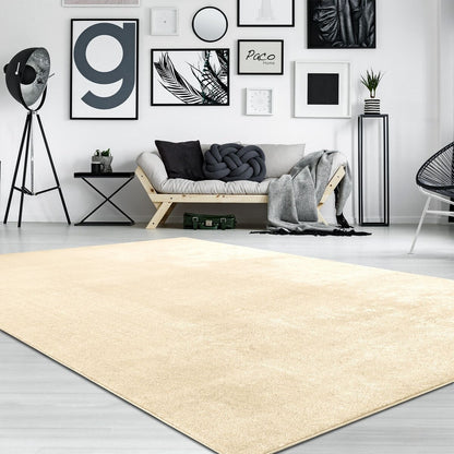 Soft Washable Area Rug with Anti-Slip Backing in solid Colors
