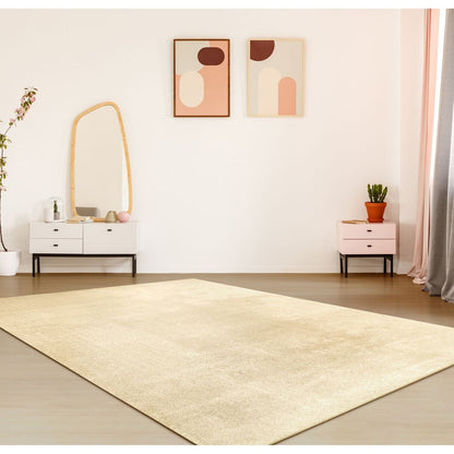 Soft Washable Area Rug with Anti-Slip Backing in solid Colors